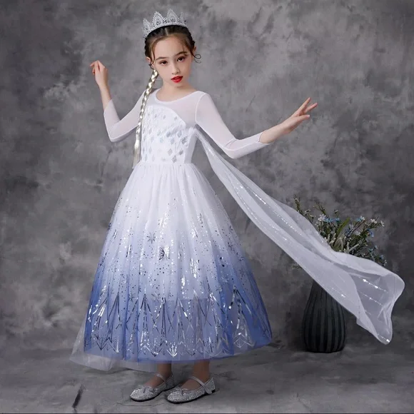 Luxury Frozen Elsa Sparkly Costume Dress 5018 - Picture 5 of 8